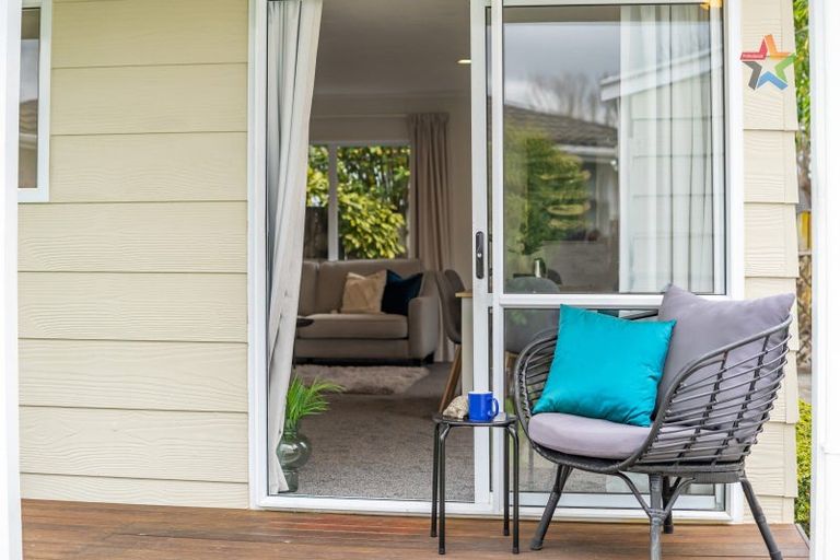 Photo of property in 47 Thornycroft Avenue, Epuni, Lower Hutt, 5011