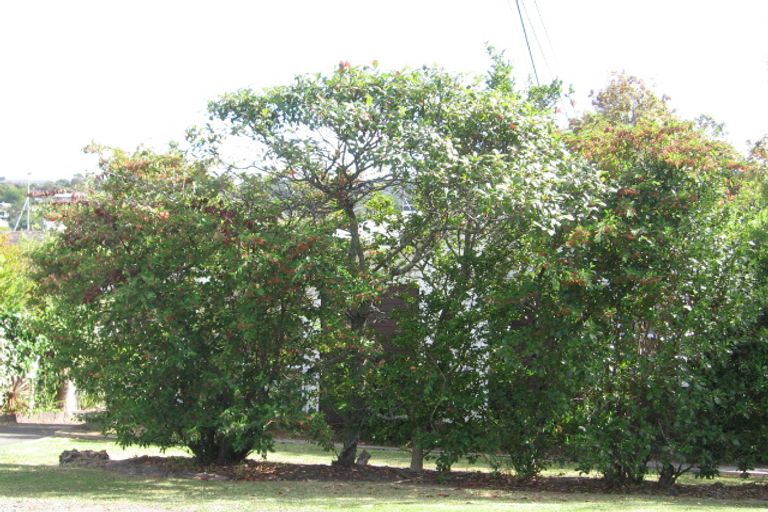 Photo of property in 522 Beach Road, Murrays Bay, Auckland, 0630