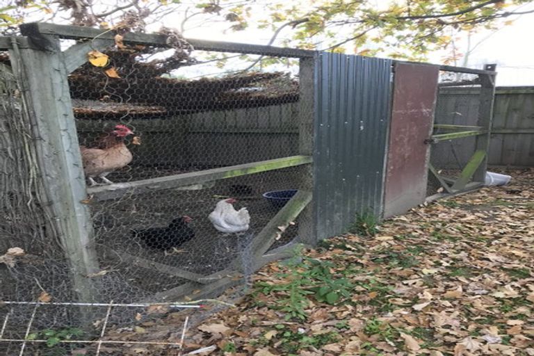 Photo of property in 151 East Belt, Rangiora, 7400