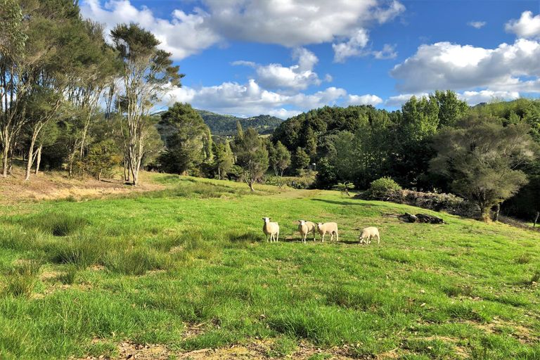 Photo of property in 11 Dip Road, Kaeo, 0479