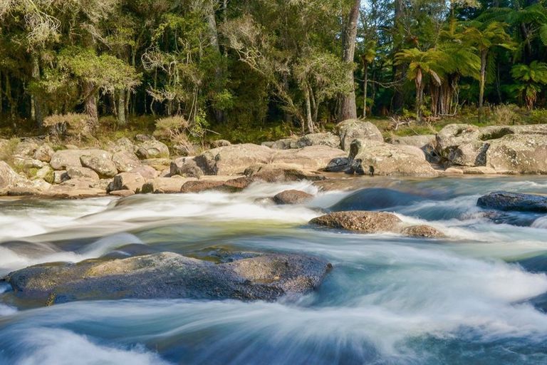 Photo of property in 1911b State Highway 29, Lower Kaimai, Tauranga, 3171