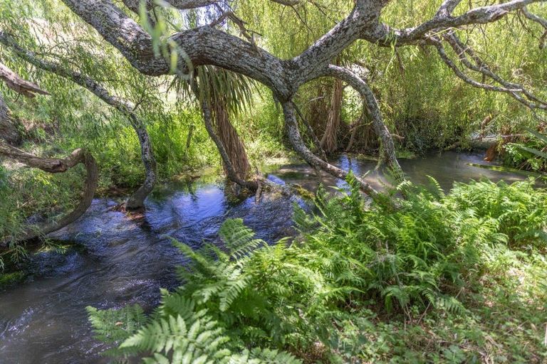 Photo of property in 235 Old Taupo Road, Putaruru, 3481