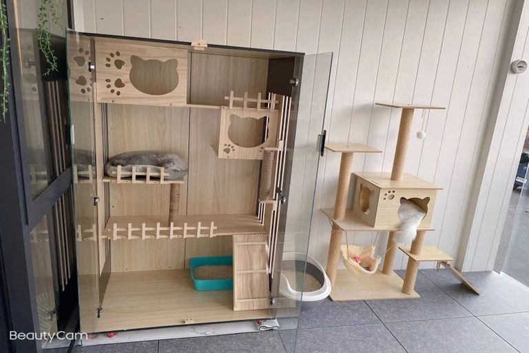 Photo of property in 5 Kanona Way, Albany Heights, Auckland, 0632