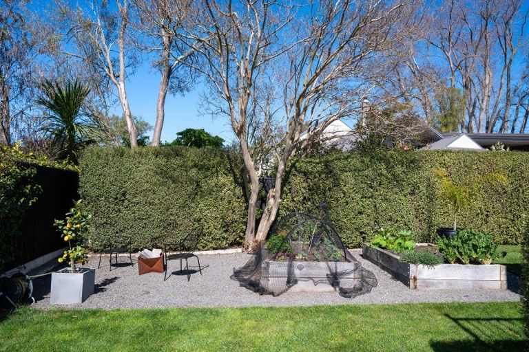 Photo of property in 43a Chambers Street, Havelock North, 4130