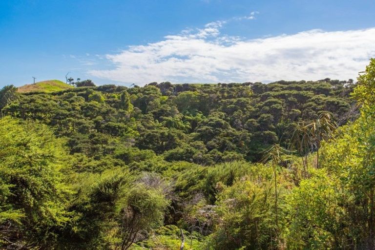 Photo of property in 1580 Whaanga Road, Raglan, 3296