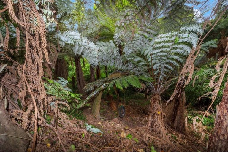 Photo of property in 8 Donny Avenue, Chartwell, Hamilton, 3210