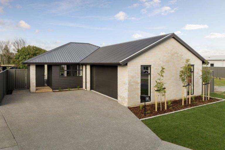 Photo of property in 39 Hammick Crescent, Pyes Pa, 3112