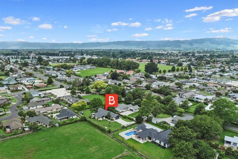 Photo of property in 10 Eldonwood Drive, Matamata, 3400