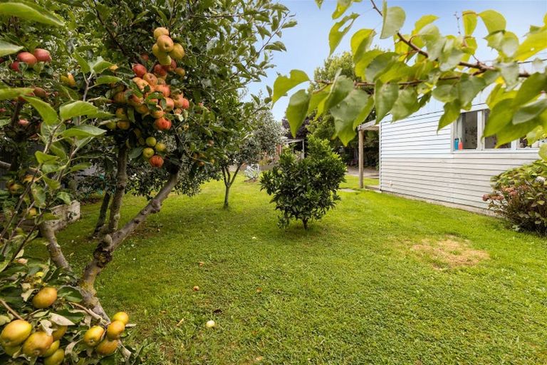 Photo of property in 11 Frederick Street, Spring Creek, 7202