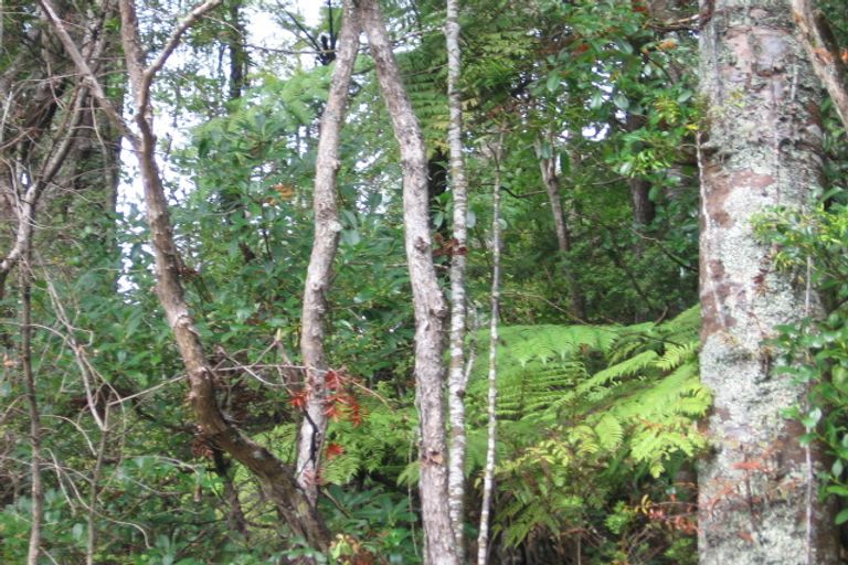 Photo of property in 113 Tanekaha Road, Titirangi, Auckland, 0604