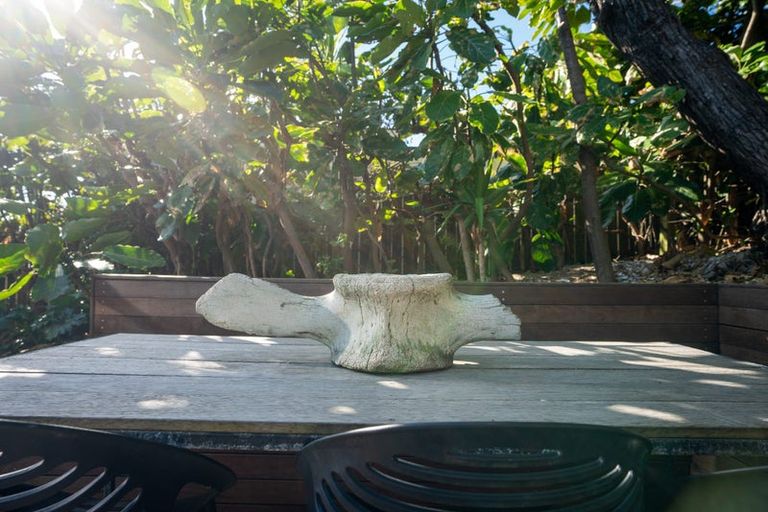 Photo of property in 134 The Parade, Paekakariki, 5034