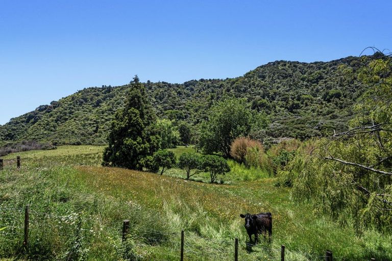 Photo of property in 1707 State Highway 35, Torere, Opotiki, 3197