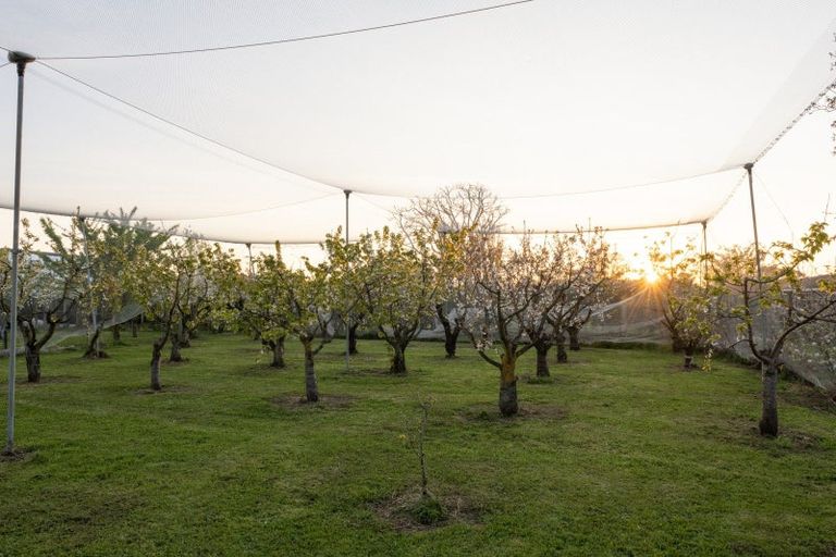 Photo of property in 23 Battys Road, Yelverton, Blenheim, 7201