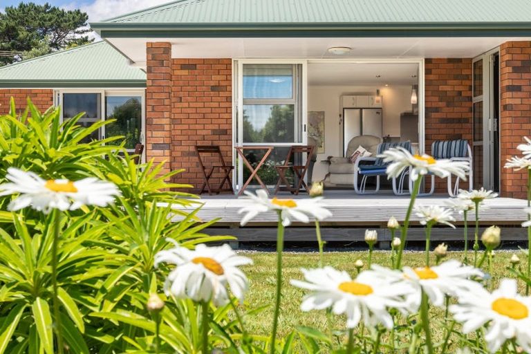 Photo of property in 33 Ketemaringi Way, Manakau, Levin, 5573