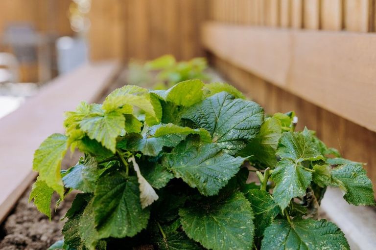 Photo of property in 68 Bert Wall Drive, Omokoroa, 3114