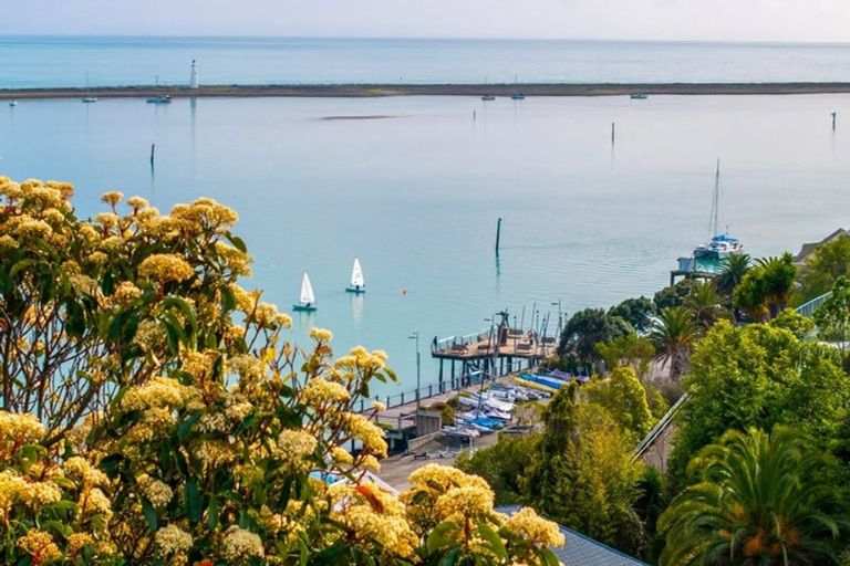 Photo of property in 1e Fifeshire Crescent, Stepneyville, Nelson, 7010