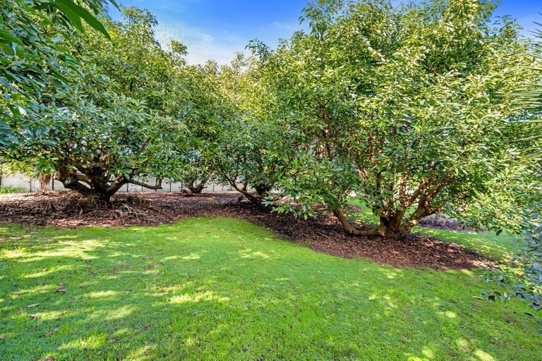 Photo of property in 554 Rangiuru Road, Rangiuru, Te Puke, 3188