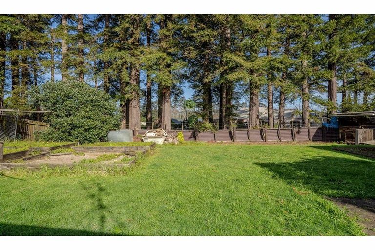 Photo of property in 11 Hawkings Crescent, Kerikeri, 0230