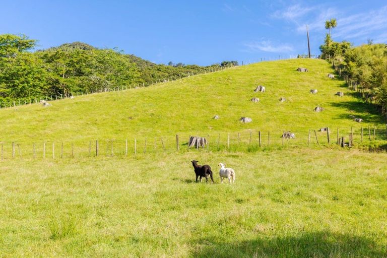 Photo of property in 23 Wadham Road, Ngaruawahia, 3793