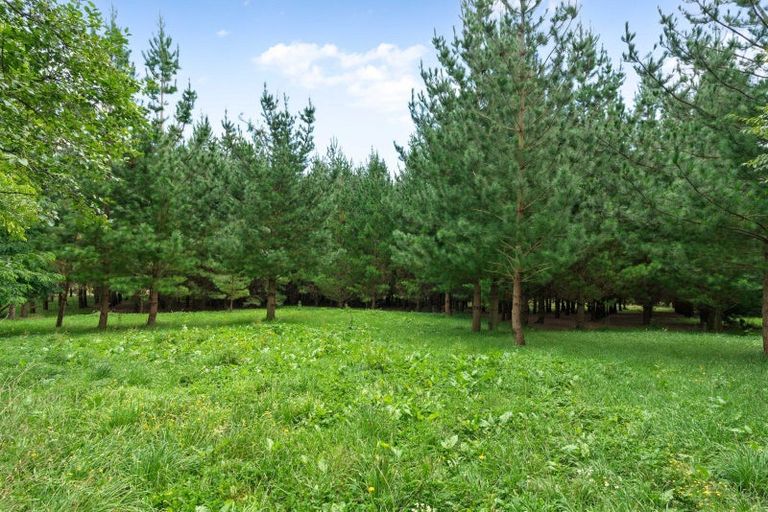 Photo of property in 63 Riversdale Road, Waihakeke, Carterton, 5792