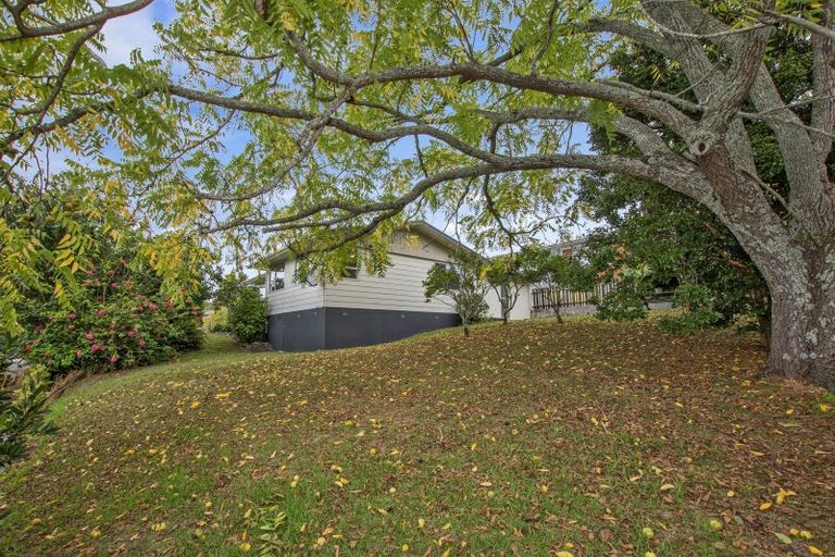 Photo of property in 20 Raewyn Street, Morningside, Whangarei, 0110