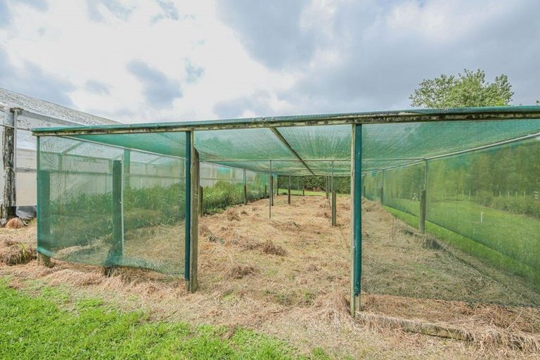 Photo of property in 119 Engles Road, Shannon, 4821