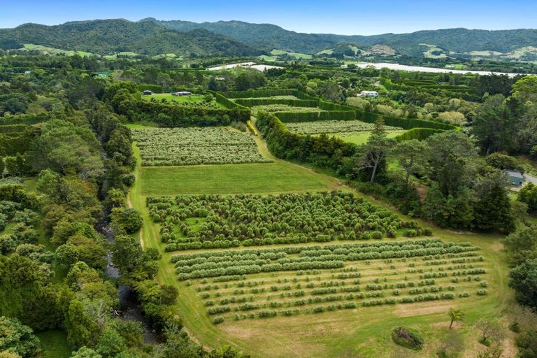 Photo of property in 40 Killen Road, Tahawai, Katikati, 3178