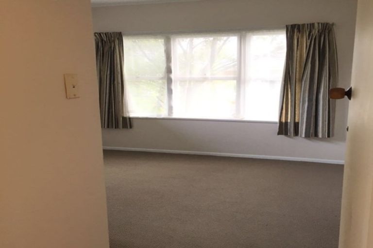 Photo of property in 13 Tampin Road, Hillpark, Auckland, 2102