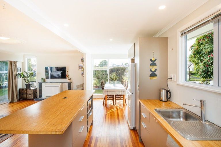 Photo of property in 132 Limbrick Street, Terrace End, Palmerston North, 4410