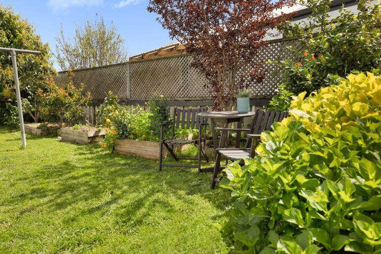 Photo of property in 3b Lumsden Street, Greerton, Tauranga, 3112