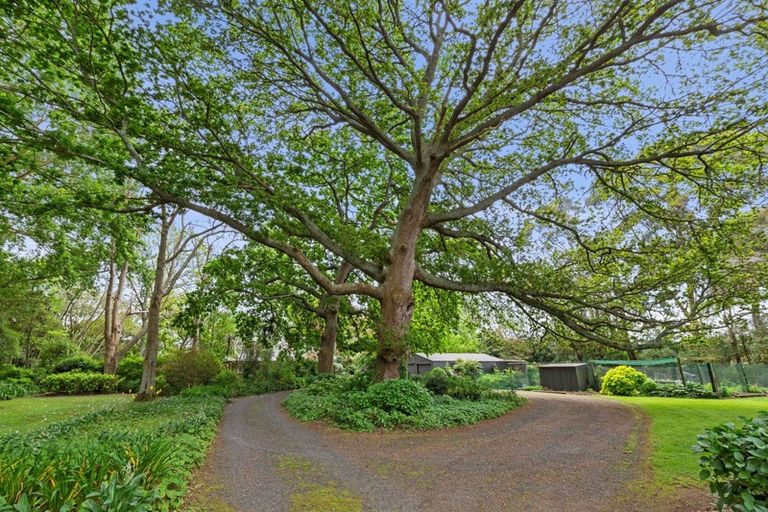 Photo of property in 253 Kaipaki Road, Ohaupo, 3881