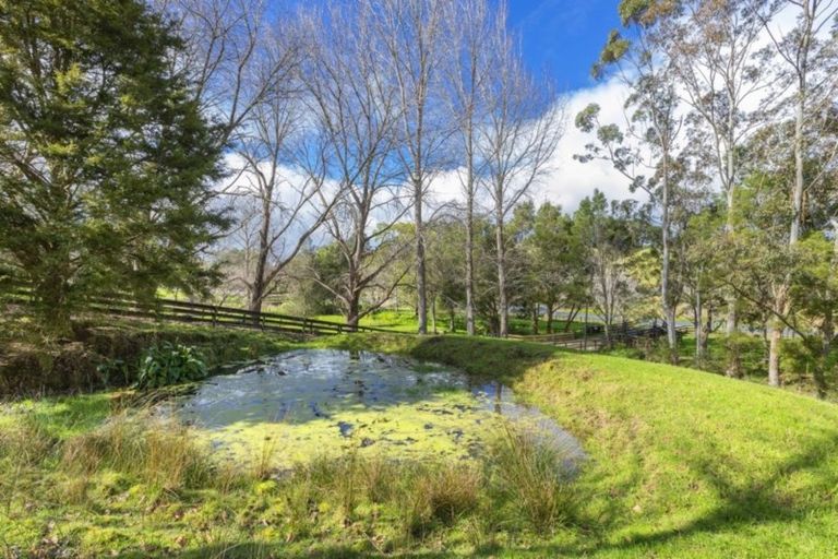 Photo of property in 236 Kaipara Flats Road, Dome Forest, Warkworth, 0981