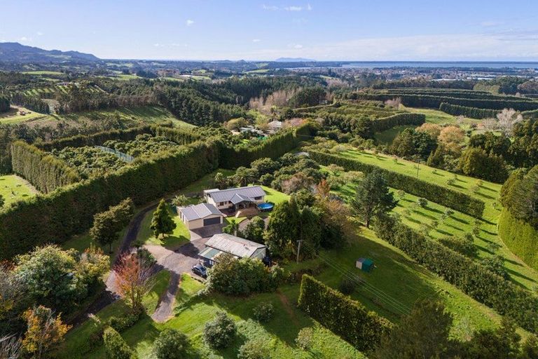 Photo of property in 270 Wharawhara Road, Tahawai, Katikati, 3178
