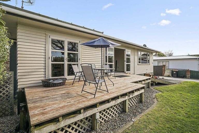 Photo of property in 392 Ruahine Street, Terrace End, Palmerston North, 4410