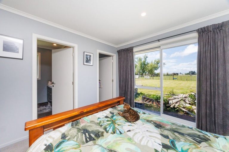Photo of property in 247 Te Ngaio Road, Bunnythorpe, Palmerston North, 4478