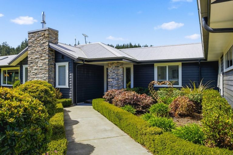 Photo of property in 184 Butcher Road, Reporoa, 3083
