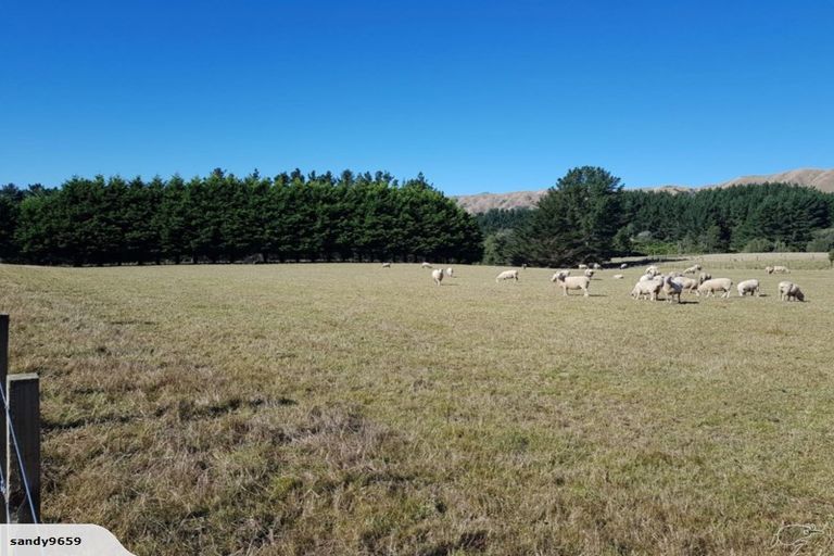 Photo of property in 210 Potts Road, Koputaroa, Levin, 5571