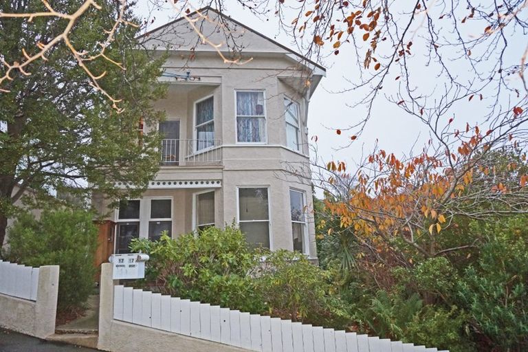 Photo of property in 17 Scarba Street, Roslyn, Dunedin, 9010