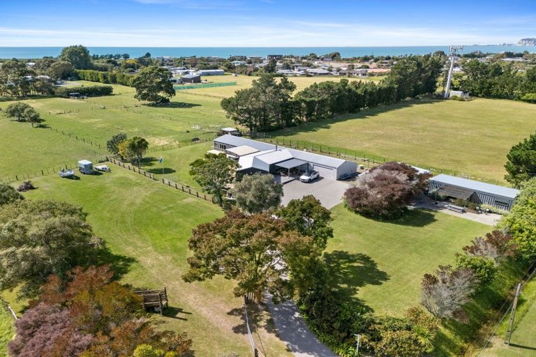 Photo of property in 59 Buchanan Street, Bay View, Napier, 4104