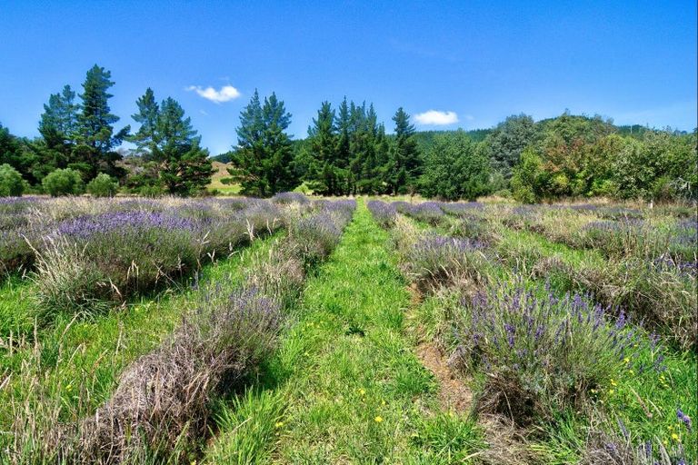Photo of property in 1453 Masterton Castlepoint Road, Tauweru, Masterton, 5889
