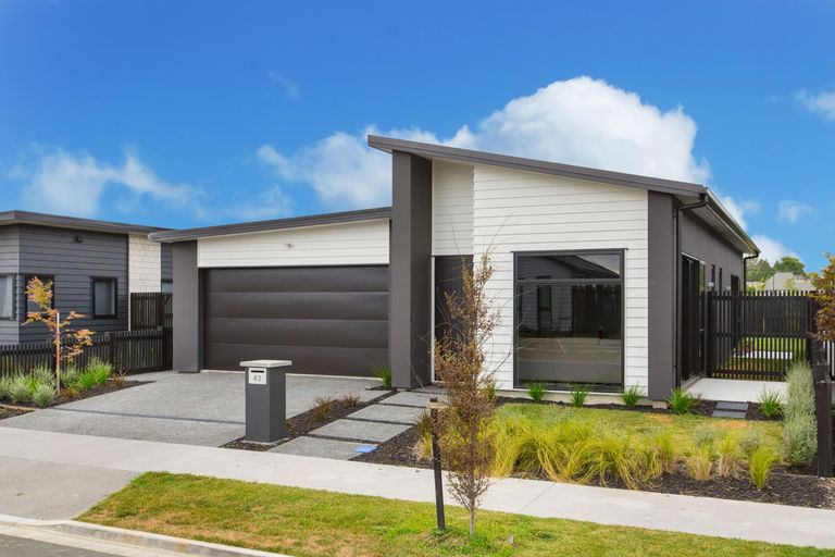 Photo of property in 43 Probert Crescent, Chartwell, Hamilton, 3210