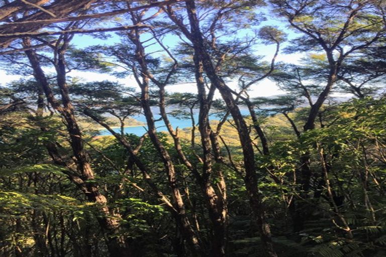 Photo of property in 6617 Kenepuru Road, Saint Omer, Marlborough Sounds, 7282