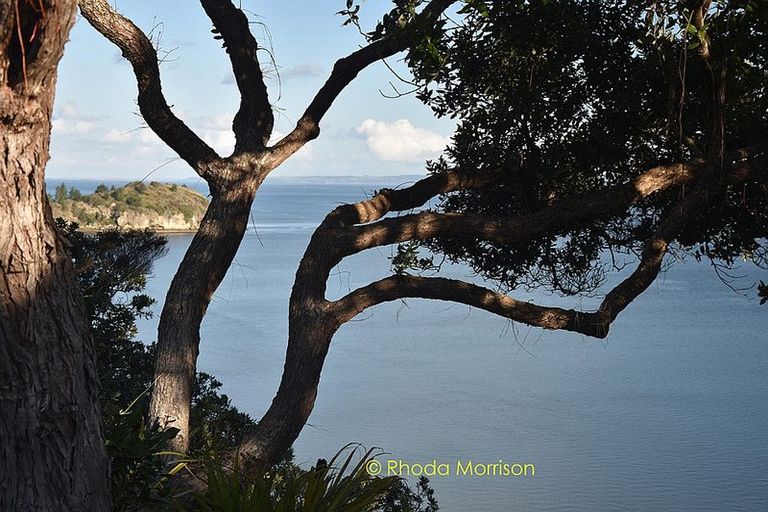 Photo of property in 15 Te Wairoa Lane, Tinopai, 0593