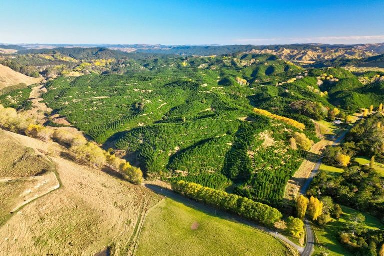 Photo of property in 751 Ongo Road, Hunterville, 4782