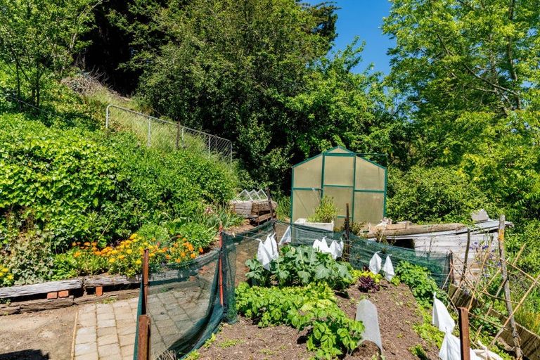 Photo of property in 20 Greenhithe Street, Waihola, Milton, 9073