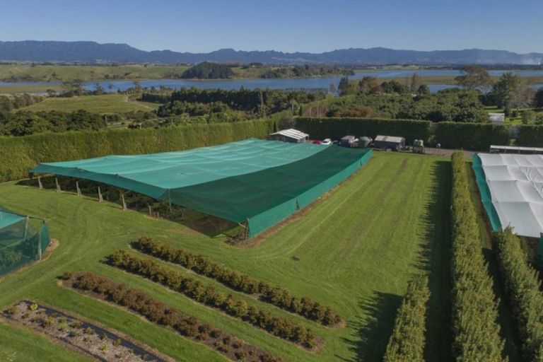 Photo of property in 261 Pahoia Road, Whakamarama, Tauranga, 3172