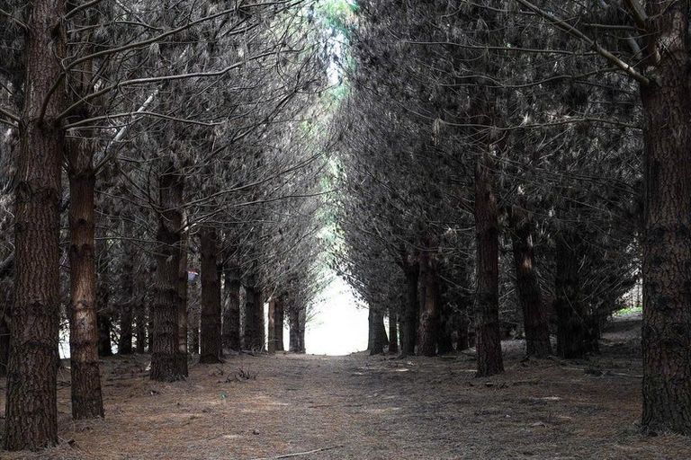 Photo of property in 2/298 Bealey Avenue, Christchurch Central, Christchurch, 8013