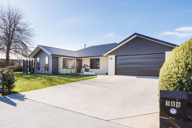 Photo of property in 166 Pharazyn Street, Feilding, 4702