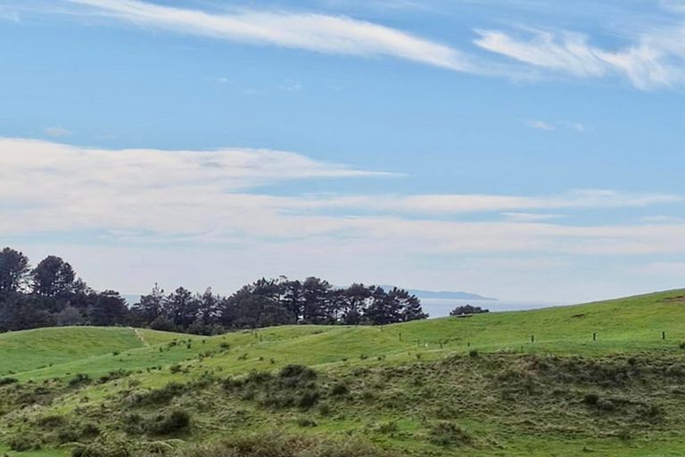 Photo of property in 405c Rowe Road, Ohauiti, Tauranga, 3173