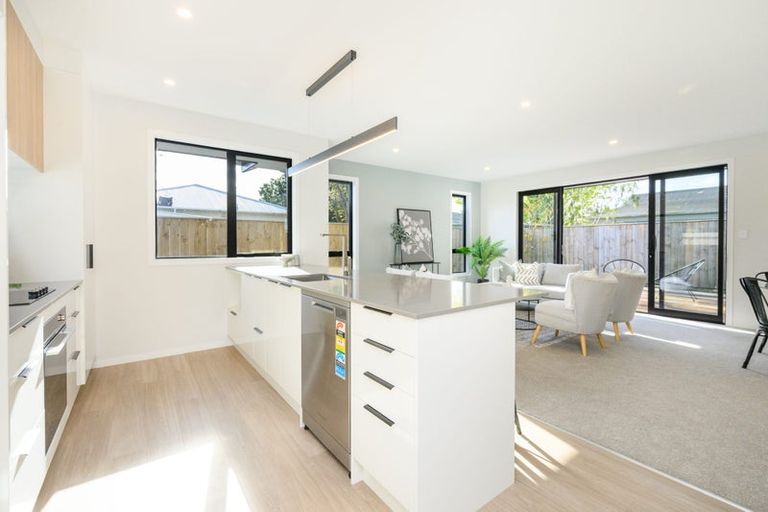 Photo of property in 10c Limbrick Street, Terrace End, Palmerston North, 4410